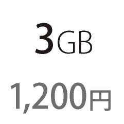 3GB