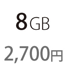 8GB