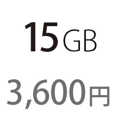 15GB